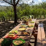 Kabaceira Glamping Роскошный шатер Atalaia (Lisbon)
