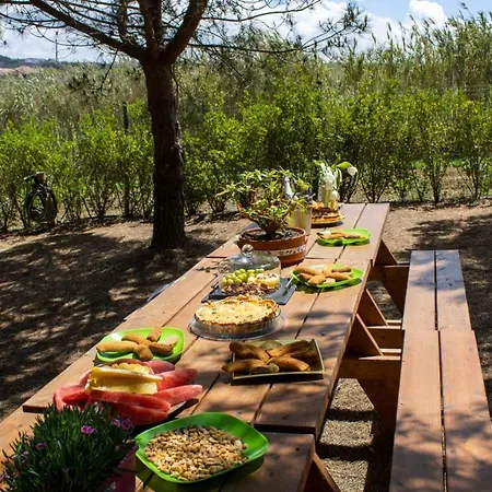 Kabaceira Glamping Lüks kamp alanı Atalaia (Lisbon)