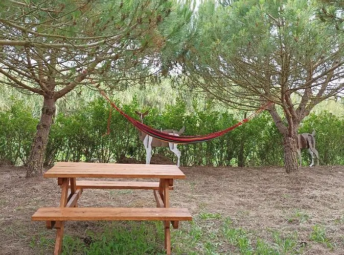 Kabaceira Glamping Atalaia (Lisbon)