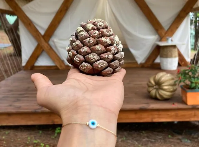 Kabaceira Glamping